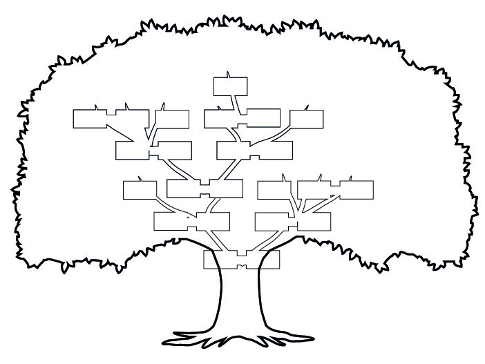 Stromový rodokmen s rozložením předků pro 5 generací